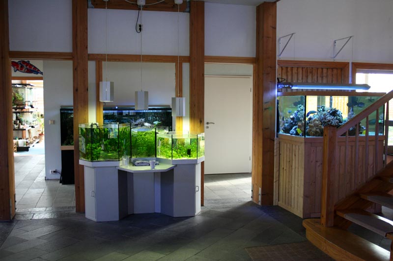 Killikus&reg; Fotographie